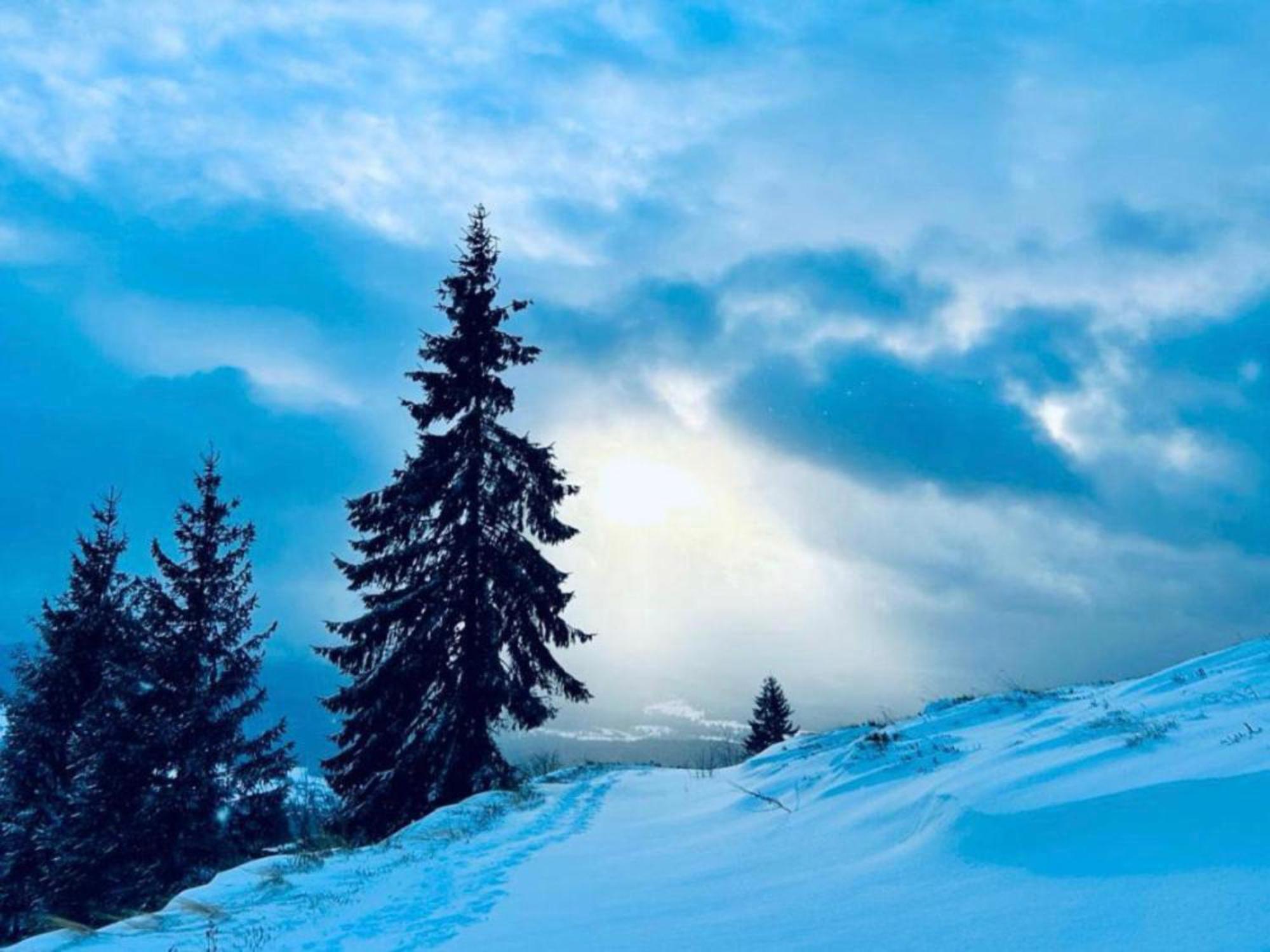 Tiarra Mountain Lodge Belis Luaran gambar